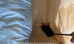 车模微SM
