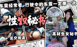 秘书的正确使用方法 行驶中车震 车震经常见
