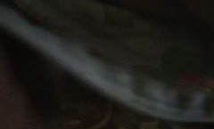 想草自己的妹mei妹mei（6）没想到妹mei妹mei喜欢开灯裸睡，身shen材真的很棒