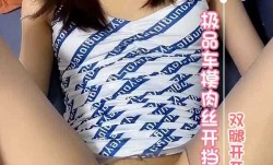 极品车模肉丝开挡 双腿开开随便插
