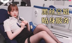 TZ-079_丝袜空姐的贴身服务