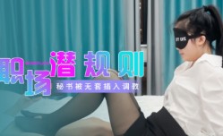 性世界 职场潜规则 秘书五套插入调教