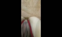 大姨的肥逼，大奶