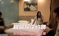 极品探花约啪-专约漂亮阿姨风韵人妻