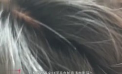 声优人妻