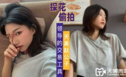 探花赵公子-自拍领导的交易工具