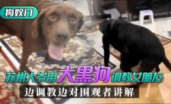 最新上市！【苏州“狗奴门”】苏州大爷用大黑狗调教女朋友，边调教边对围观者讲解_