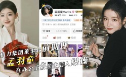 格力集团董事长前助理『孟羽童』在办公室被金主后入爆bao操！巨乳超有弹性震颤不止！
